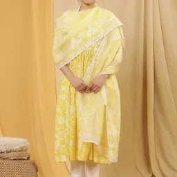 W Printed Organza Dupatta image 4