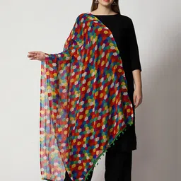 WEAVERS VILLA Red & Blue Printed Dupatta image 3