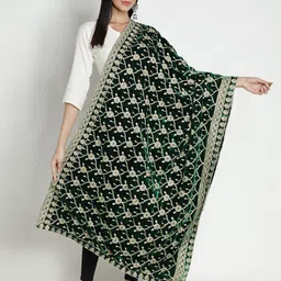 Moda Chales Embroidered Velvet Dupatta image 5