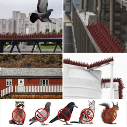 plastkart Bird Spike-picture-37
