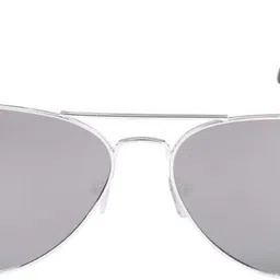 good friends Polarized Aviator Sunglasses (Free Size)-picture-16