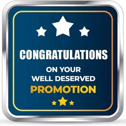 silviya BIS Hallmarked Personalized Promotion Corporate (PRM-20G651) S 999 20 g Silver Coin-picture-32