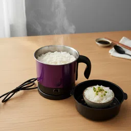 Multifunctional Fast Electric Kettle,Personal Cooker Boil Water,Milk D25 Egg Cooker, Food Steamer, Rice Cooker, Travel Cooker-image-61