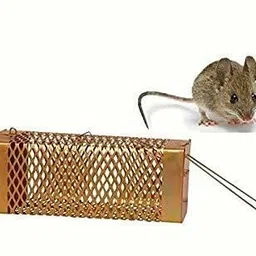 shafz wood gallery Small Rat Trap Cage 20 X 8.5 X 8 cm Iron Gold Color Criss Cross Design Live Trap image 1