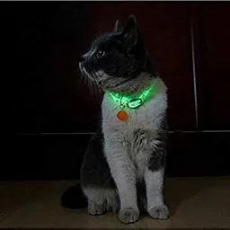 dogtrust Adjustable Reflective Collar Safety Buckle with Bells for Pet Puppy, Cat,Kitten Pet Glowing Collars with Bells Glow at Night Dogs Cats Light Luminous Necklace (Yellow, Pack of 1) Bell Dog & Cat Collar Charm image 2