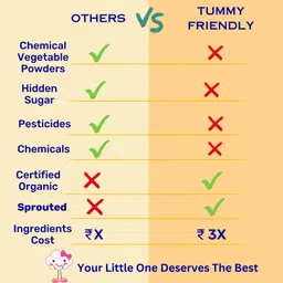 tummyfriendly foods Certified Organic Baby Food For Toddlers, 1 Year plus. 6 Packs, 50g Each Cereal image 2