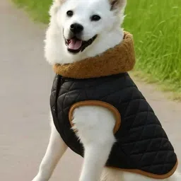 olene Winter Jacket for Dog, Cat-picture-18