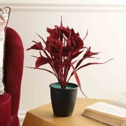 Multicolour Polyester and Plastic Artificial Plants By Foliyaj-picture-39