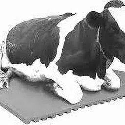 jindalmat Cow mat Premium Black Cow Pet Mat Cow, Dog, Hamster, Guinea Pig, Miniature Pig Pet Mat-picture-13