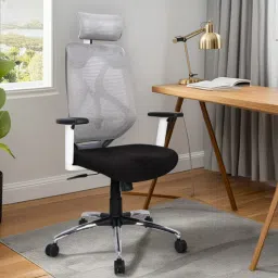 mintwud from pepperfry Jordi Breathable Mesh Ergonomic Chair with 2D Armrests & Adjustable Support in Grey Colour-picture-34