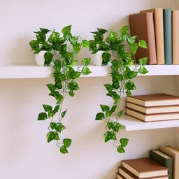 Artificial Money Plant Vine |Home|office|garden|decoration Artificial Plant Artificial Plant with Pot-image-32