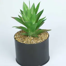 casacraft from pepperfry Polyester Dark Green Elegant Succulent With Metal Pot Artificial Plants image 4