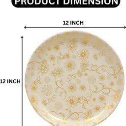 aurka Pack of 2 Melamin 12 Inch Plate For Daily Use Pack of 2 Microwave Safe Dinner Set image 2