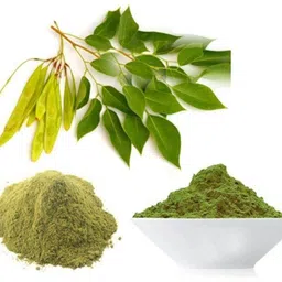 farmquartee Sheesham Leaves dry powder, Shisham Leaf Powder, Sisam, Sissoo, Dalbergia Sissoo image 3