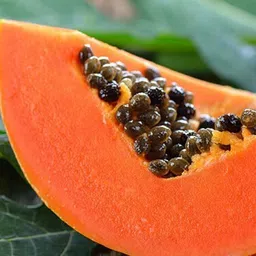 mamoni traders Hybrid Papaya,papaya,pepe Seed image 3