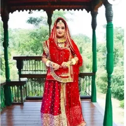 bherva tex Embroidered Semi Stitched Rajasthani Poshak-picture-12