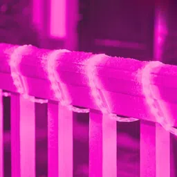 spark world 1200 LEDs 15 m Pink Steady Strip Rice Lights image 2