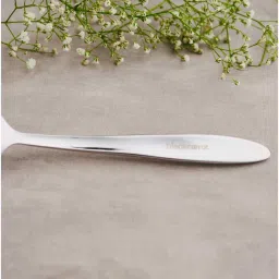 blackcarrot (Set Of 6) Silver Luxe 304 Food Grade Stainless Steel Silver Spoon image 4