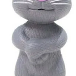 b.h.fashion Talking Tom Cat-picture-27