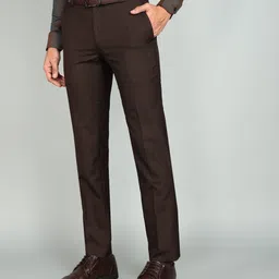 raymond Men Regular Fit Brown Polyester Trousers image 3