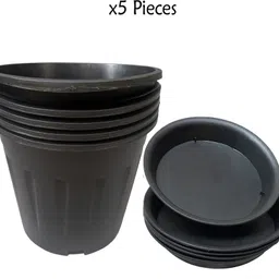 gurusamy 6Inch Durable & Unbreakable Plastic Pot for Home Garden, Balcony & Nursery Use Plant Container Set-picture-38