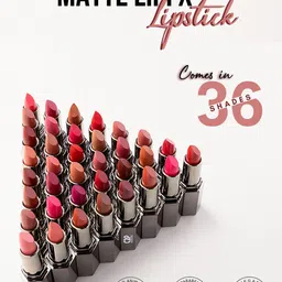 C2P PROFESSIONAL MAKEUP MatteLipFX Long-Lasting Lipstick - Spiced Up 24 image 3