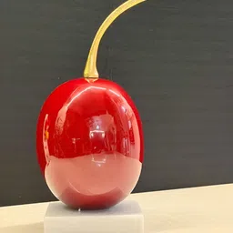 Timaya's Decor Red Tomarillo Showpiece-picture-15