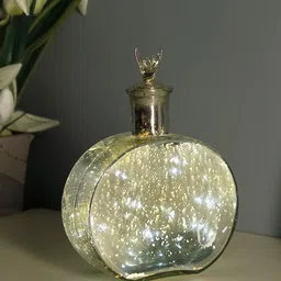 Homesake Silver Copper Star String Light With Round Bottle Showpiece-picture-22