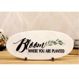 POSH-N-PLUSH Black & White Bloom Printed Marble Showpiece-picture-25
