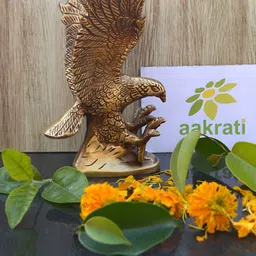 Aakrati Yellow Brass In Antique Finish With opened wings Figurine Showpiece-picture-37