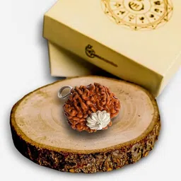 beautum 7 Mukhi Rudraksha Seven Face Rudraksha Nepali Rudraksha Wood Pendant-picture-16
