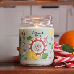 aromatic fables Lemongrass Holiday Candle A Refreshing Festive Scent in a Glass Jar-picture-26