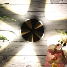 eliante by jainsons lights Black & Gold Aluminium 12 Watt LED Outdoor Wall Light image 3