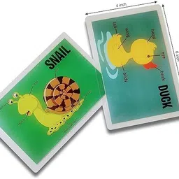 doxbox Animal Body Parts Flashcards- Pack of 9 image 2