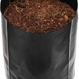 vayinato UV Protected Nursery Plastic Poly Grow Bag for Gardening (Black) 6 inch * 8 inch (Pack of 100) Grow Bag-picture-22
