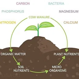 ugaoo Cow Dung Manure Fertilizers for Plants & Home Gardening - 5 Kg Manure image 4