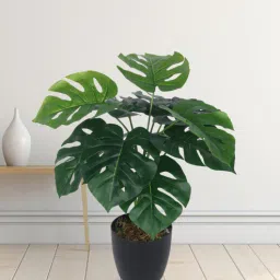 Arick Decor 21 Inch Artificial Real Touch Monstera With Black Pot-picture-14