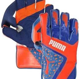 puma Future 1.0-MENS(18+) Wicket Keeping Gloves-picture-21