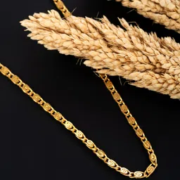 rfj HR SALES Silver Plated Alloy Chain image 2