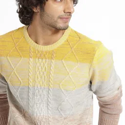 Men Colorblock Round Neck Multicolor Sweater-image-42