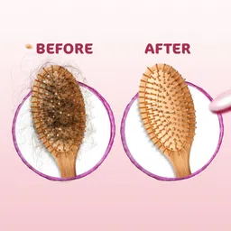 Mamaearth Onion Shampoo with Vitamin E & Plant Keratin - 650 ml image 2