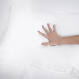 gilson Frey Fiber 24 x 16 Inch Pillow image 5