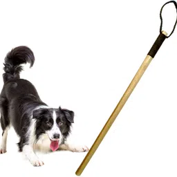 jainsons pet products Dog Training Wooden Stick Length 30 inch/ 2.5 Feet, Useful for Walking & Traning Wooden Stick, Training Aid For Dog-picture-21