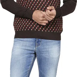 raymond Men Self Design V Neck Brown Sweater image 5