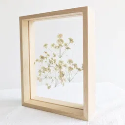 desi rang Wooden Square Frame For Wall Decor Table Top Hanging Any Green Or 17 inch Dry Plant Leaf Photo DIY Gift Decoration (Natural,Sq.,12X12 Inch,Without leaf)-picture-44