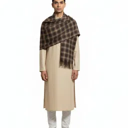 Kriti Wool Checkered Men Shawl-picture-41