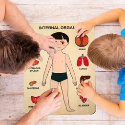 shalafi Montessori Inside Part of Body Organ Puzzle Learn Human Body Part Learning Toy-picture-10