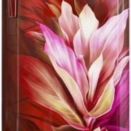 godrej 180 L Direct Cool Single Door 3 Star Refrigerator-picture-3