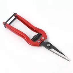 nityaecommerce Handheld Plant Branch Fruit Flower Trim Straight Curved Blade Garden Pruning Shears Garden Scissors Bypass Pruner image 5