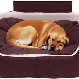snupi smile Dog Bed, Sofas Bed & Chairs Bed With Coller XXXL Pet Bed-picture-22